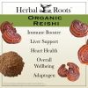 Organic Reishi Mushroom
